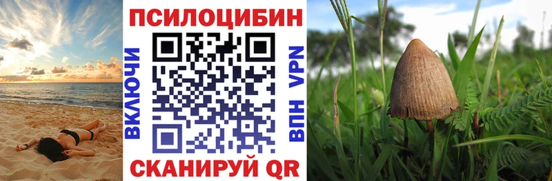 купить   mega ссылки  Псилоцибиновые грибы GOLDEN TEACHER  Буинск 